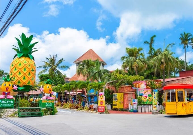 Ананасовый парк Наго