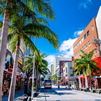 Кокусай Дори